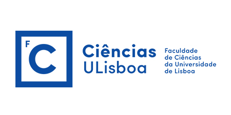 Orgestra - 13 PhD Positions in Organoid Technologies